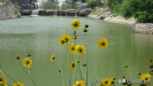 “静之湖”闲暇时可以去转转（京郊游）