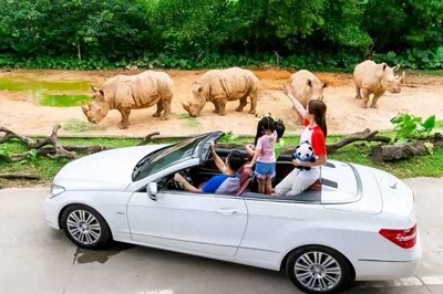 ​广州长隆野生动物园，自驾车观赏门票怎么买？