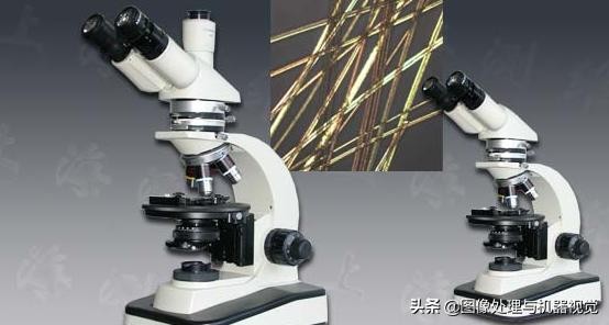 显微镜常见有哪几种(显微镜的分类和特点)(6)