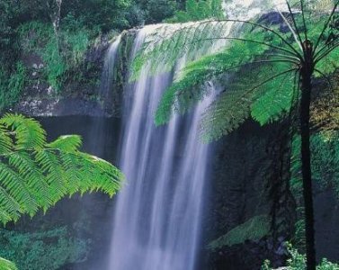 ​这三大生肖一进入四月份就开始牛气冲天，变得越来越牛