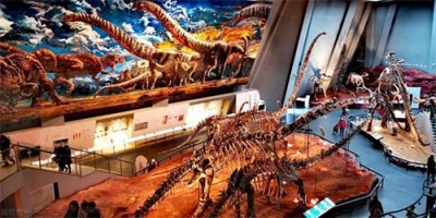 ​重庆旅游：最值得去的10个地方，错过便是人间遗憾，你去过几个？