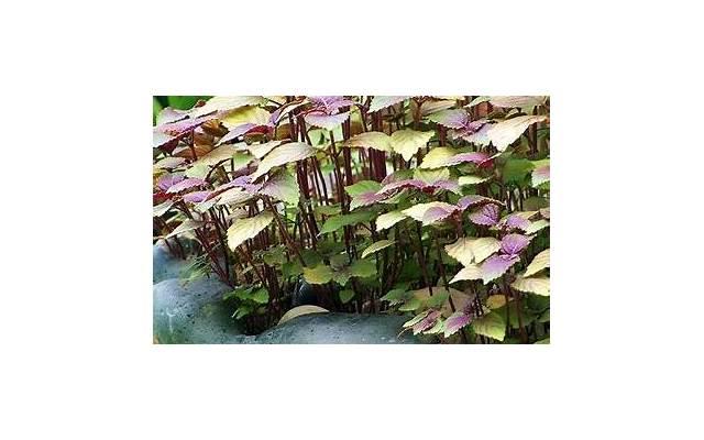 男生喜欢什么礼物?男生最渴望收到的礼物 男生喜欢什么礼物?男生最渴望收到的礼物