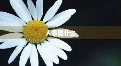 人事是什么