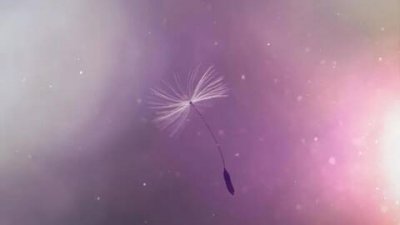 爱情励志文章300字左右（关于爱情的感悟随笔）