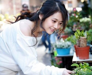 ​张娜拉成名后说了什么，曾经的刁蛮公主为什么现在却销声匿迹了