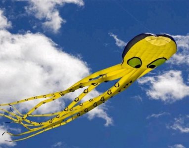 ​英语里章鱼的复数不是octopi