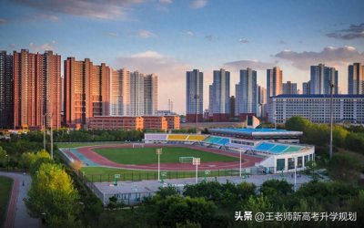 ​东北大学秦皇岛分校2025年报考全解析：专业分数、热度与策略指南