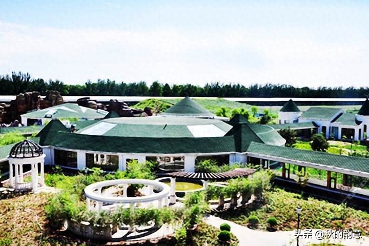 北京蓝调薰衣草庄园，蓝莓、草莓为主栽品种，已成为当地绿色地标