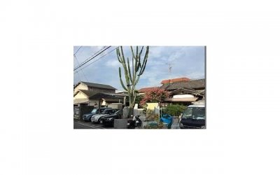 ​敷面膜的好处（长期坚持敷面膜有用吗）