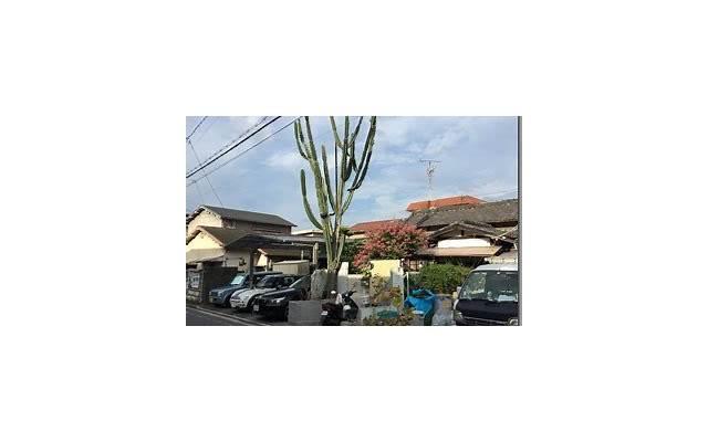 敷面膜的好处(长期坚持敷面膜有用吗) 敷面膜的好处(长期坚持敷面膜有用吗)