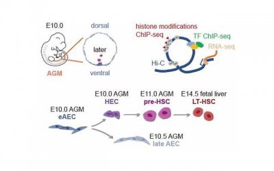 孩子冷血无情的表现