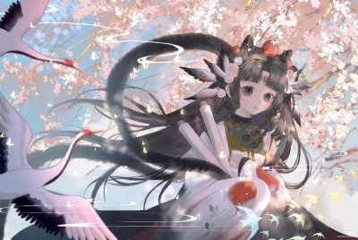 ​口jiao对健康有哪些影响？