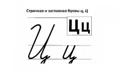 ​不苟言笑的意思（不苟言笑的意思言的意思）