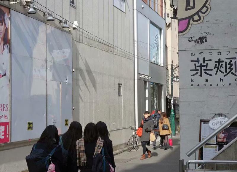 大人糖小海豹的真实使用体验感