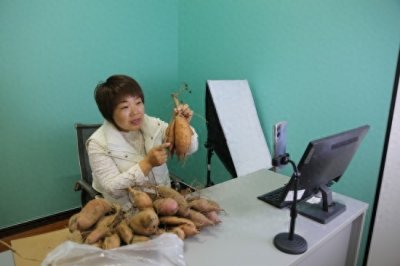 ​河北定兴：乘电商东风 奏响振兴之曲