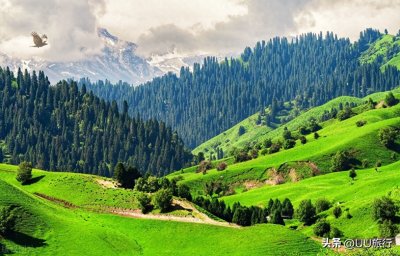 ​草原旅游去哪里好 草原旅游胜地(中国最美的10个草原)