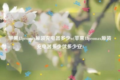 ​苹果13promax原装充电器多少w(苹果13promax原装充电器多少伏多少安)