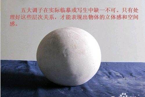 五大调子三大面是什么,素描中的三大面五大调子指的是什么图4