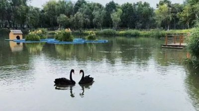 ​首次发现！南艳湖公园有惊喜