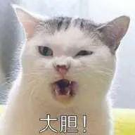 “被小三”、“真二房”，宁静都不敢撕的姑奶奶我来锤！