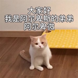 ​沙雕配图｜朋友圈专用配图，可爱又沙雕