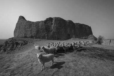 ​中国近代史上五大人口迁徙之——走西口