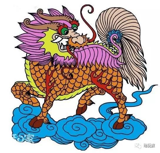 宝可梦图鉴稀有精灵（精灵宝可梦图鉴第76期）(10)