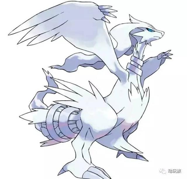 宝可梦图鉴稀有精灵（精灵宝可梦图鉴第76期）(27)