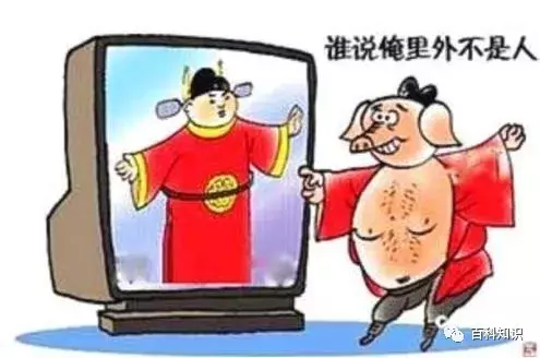 猪八戒照镜子歇后语（猪八戒照镜子里外不是人）