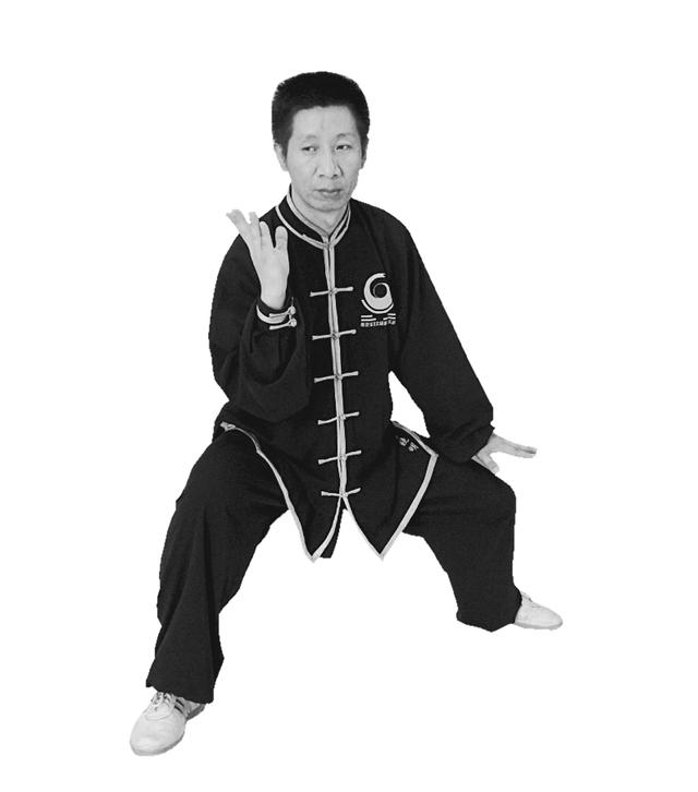 右野马分鬃动作图简易（想不到野马分鬃）(12)