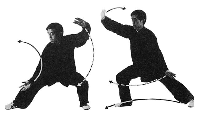 右野马分鬃动作图简易（想不到野马分鬃）(4)