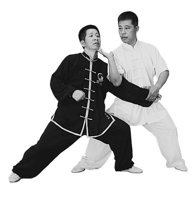 右野马分鬃动作图简易（想不到野马分鬃）(16)