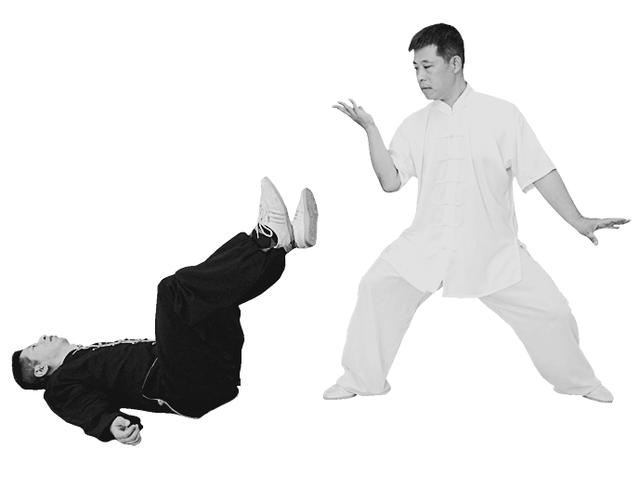 右野马分鬃动作图简易（想不到野马分鬃）(17)