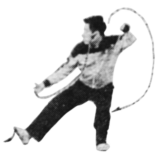 右野马分鬃动作图简易（想不到野马分鬃）(3)