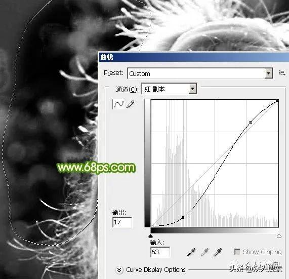 ps怎么使用通道抠图（PS通道抠图详细教程）(16)