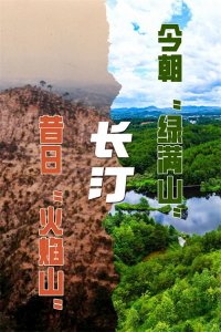 ​福建长汀：昔日“火焰山”  今朝“绿满山”