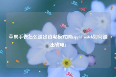 ​苹果手表怎么退出省电模式啊(apple watch如何退出省电)