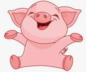 ​属猴和属猪的婚姻如何 女属猪男属猴婚姻相配吗