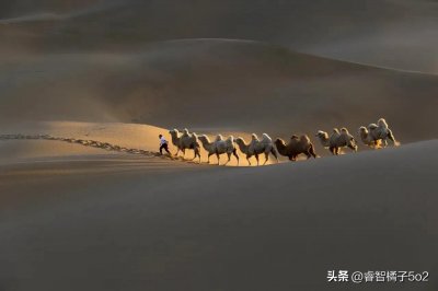 ​人为什么会活得这么累？