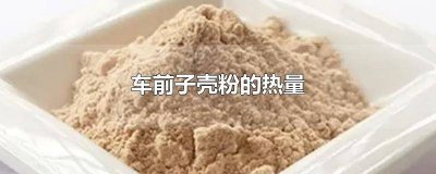​车前子壳的功效与作用 车前子壳的功效与作用和副作用