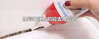 ​除霉啫喱真的好用吗 除霉啫喱哪个牌子