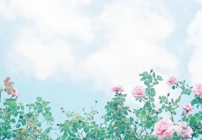 ​地板砖价格80x80怎么换算平方有50平方要怎么算用几块地板砖80x80的