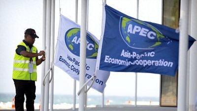 ​APEC框架下的跨区域合作的新价值