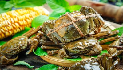 ​蟹子蒸多长时间最好