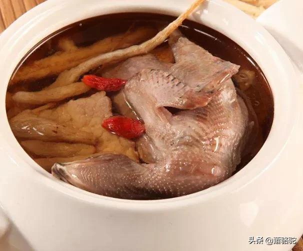 天麻蒸鸽子的正确做法（营养又美味的鸽子汤烹饪教程）