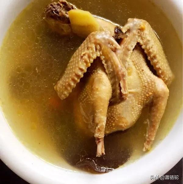 天麻蒸鸽子的正确做法（营养又美味的鸽子汤烹饪教程）