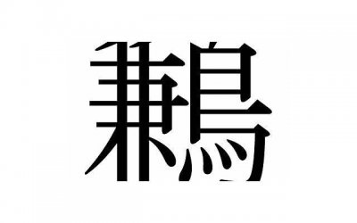 ​任何感情都是双向奔赴，才叫爱情