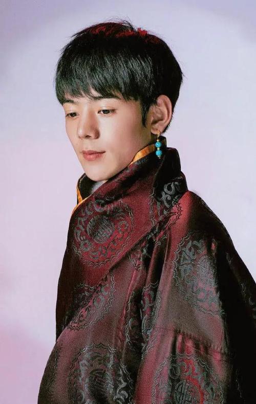 丁真为什么爆火(丁真个人简介)