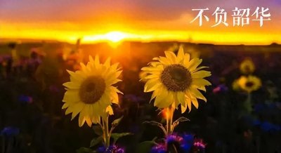 ​以梦为马，驭时光之缰驰骋；不负韶华，揽岁月之辉前行。
