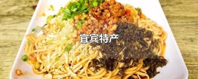 ​宜宾特产
